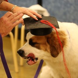 photograph by PeterW